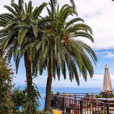 El Palmeral Tinizara Dış mekan fotoğraf