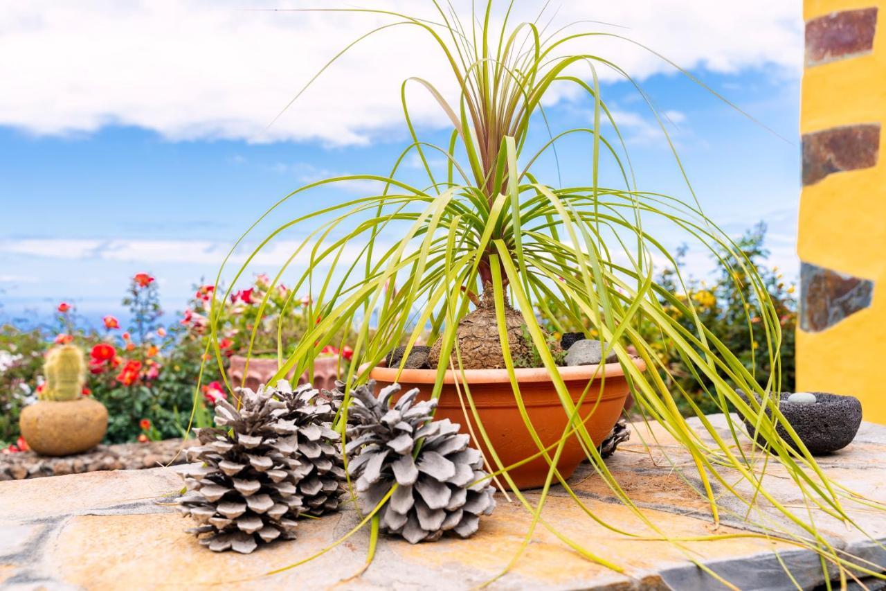 El Palmeral Tinizara Dış mekan fotoğraf