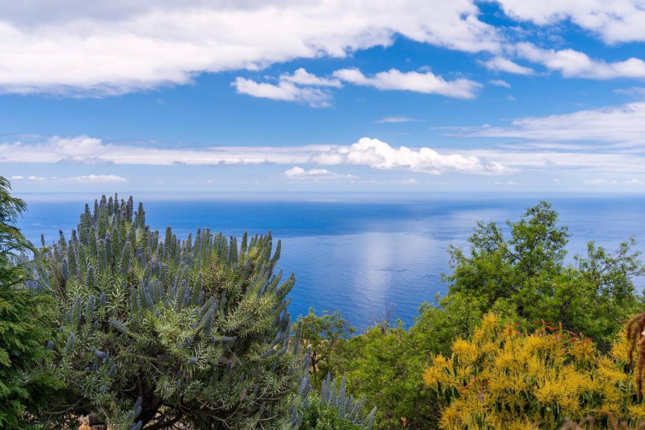 El Palmeral Tinizara Dış mekan fotoğraf