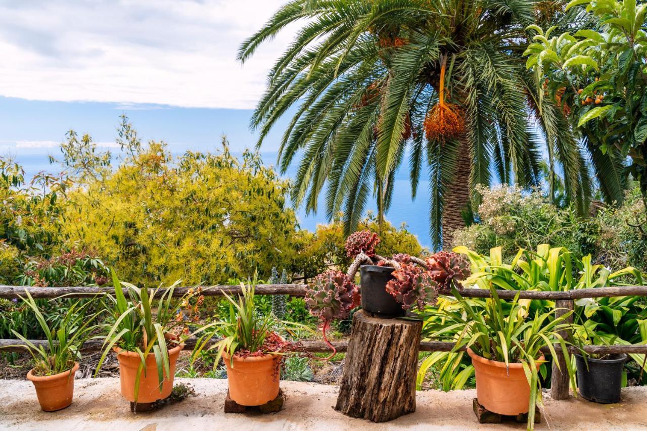 El Palmeral Tinizara Dış mekan fotoğraf
